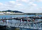 むなかたおおしま海の駅
